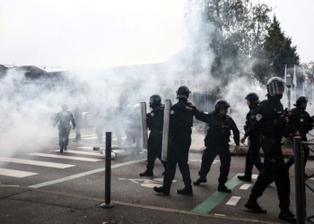 French student protests police brutality