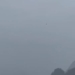Helicopter Returning From Badrinath Goes Missing Near Joshimath