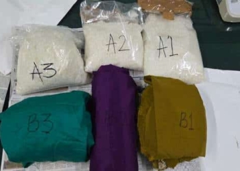 DRI crystal meth seizure train passenger