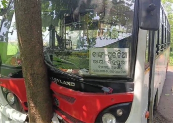 Bus Crashes into Tree