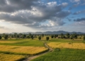 Odisha monsoon withdrawal