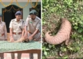 Pangolin rescue Malkangiri