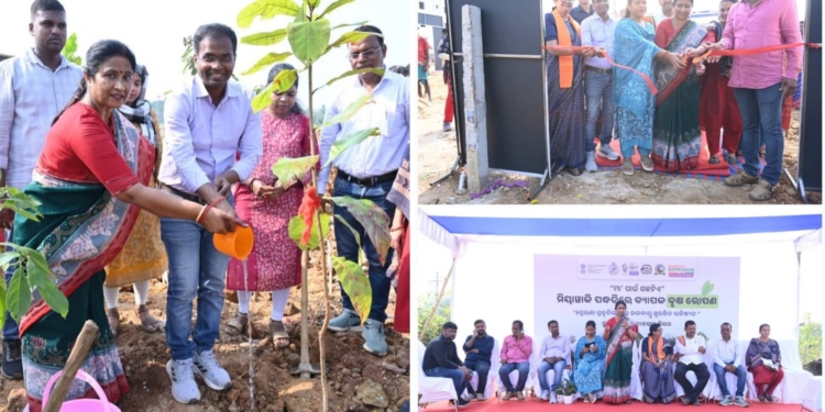 Miyawaki Plantation Bhubaneswar
