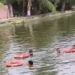 minor drowns