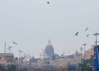Puri Badadanda kites