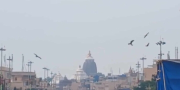 Puri Badadanda kites