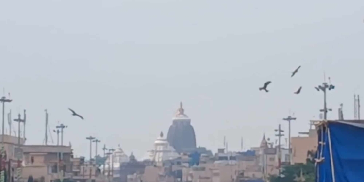 Puri Badadanda kites