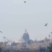 Puri Badadanda kites