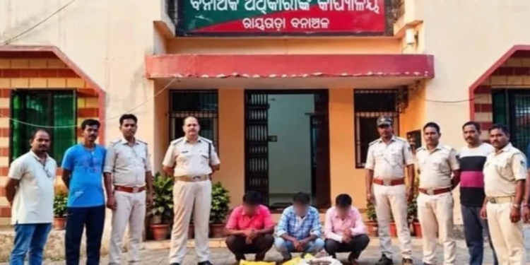 Rayagada pangolin scales seized
