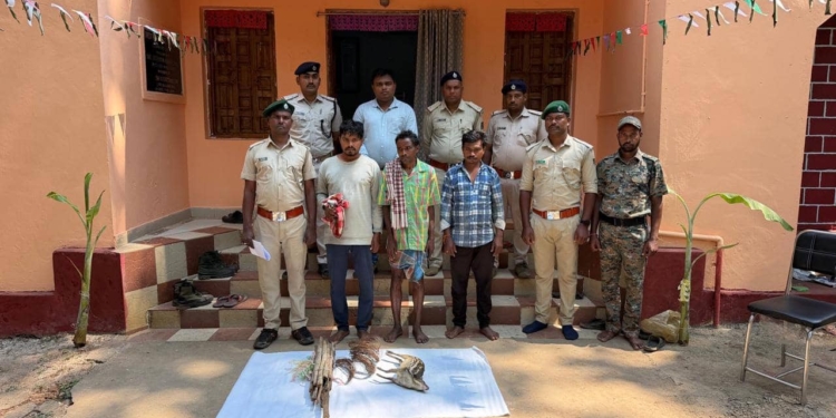 Kandhamal Belghar forest poaching
