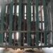 Rescued tiger cub Similipal