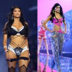 Indian Representation Shines at Victoria's Secret Fashion Show 2026: Ravleen Varghese Debuts and Neelam Gill Returns