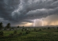 Odisha weather alert