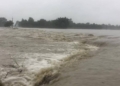 Flood