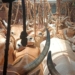 Cattle trafficking case