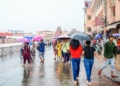 Odisha rainfall