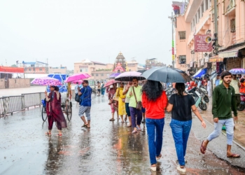 Odisha rainfall