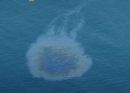 ​UAE Closes All Umm Al Quwain Beaches Following Tanker Oil Spill