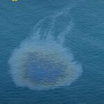 ​UAE Closes All Umm Al Quwain Beaches Following Tanker Oil Spill