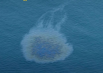 ​UAE Closes All Umm Al Quwain Beaches Following Tanker Oil Spill